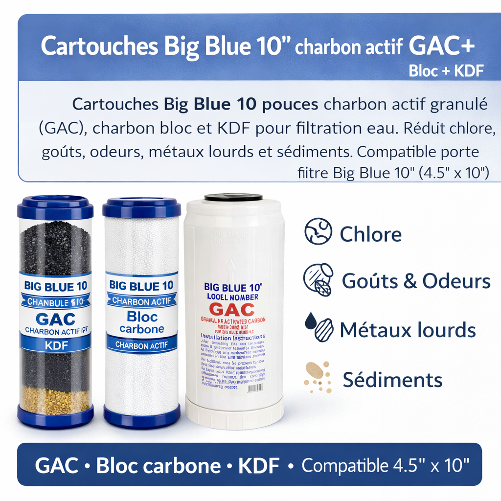 Cartouches Big Blue 10
