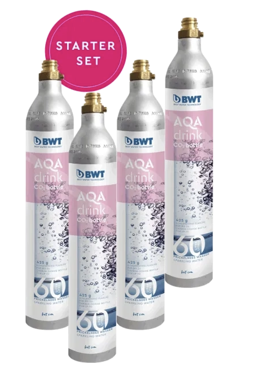Kit de quatre bouteilles CO2 Ecosoft SPARK 425 g