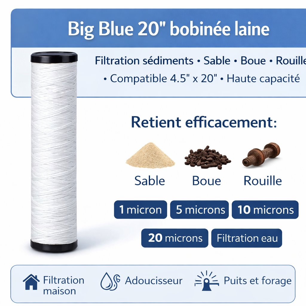 Cartouches Big Blue 20