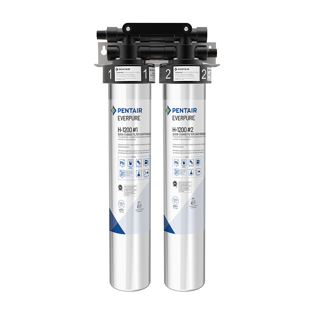 Pack 2 Everpure H-1200 | Goût parfait & protection machines