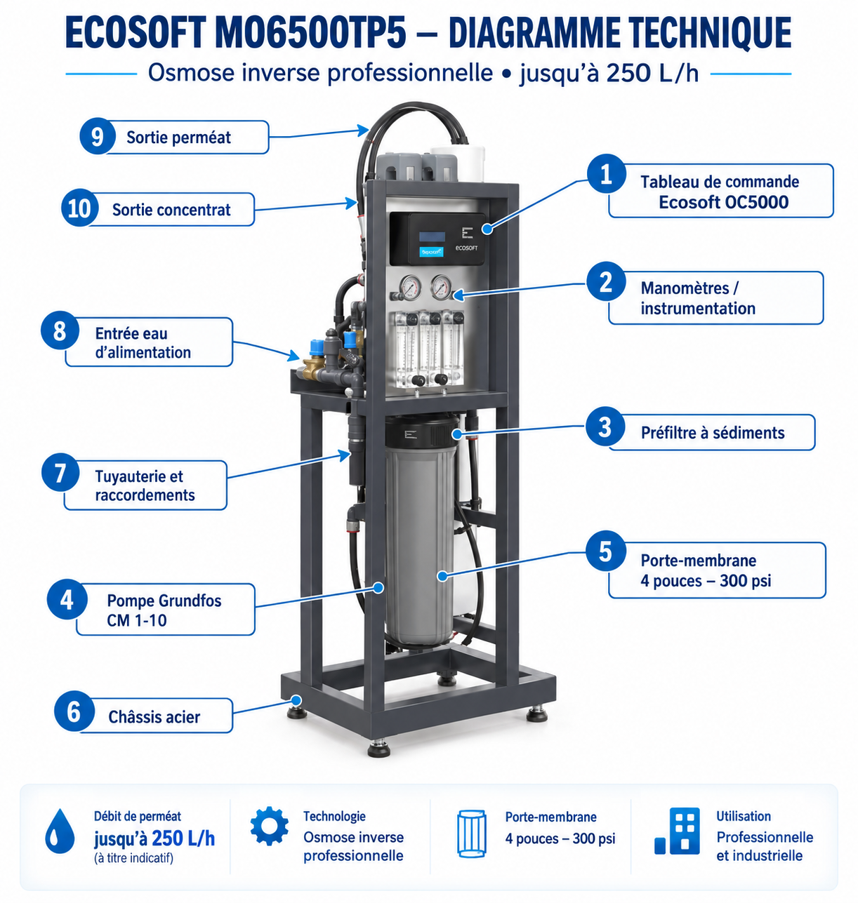 Diagramme technique Ecosoft MO6500TP5 osmose inverse professionnelle