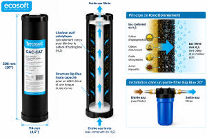 cartouche anti H2S, cartouche Ecosoft Big Blue 20, filtre sulfure d’hydrogène
