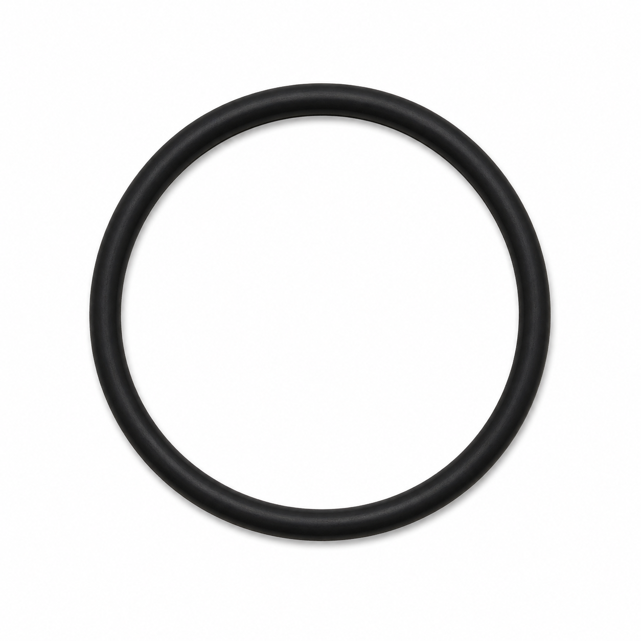 Joint torique (O-Ring) – Vanne Clack WS1