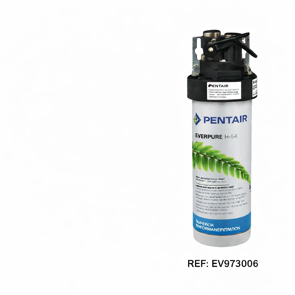 Filtre Everpure H-54 Pentair cartouche filtration eau sous évier 0,5 micron