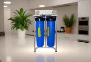 DUO FILTRES BIG 20 POUCES E/S 40/49