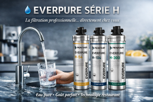 Cartouches Everpure Série H – Filtration eau haut de gamme (H54, H104, H300)