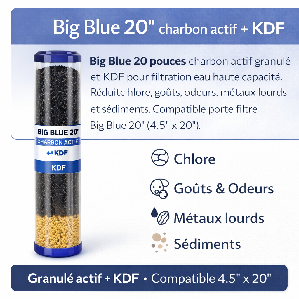 Cartouches Big Blue 20