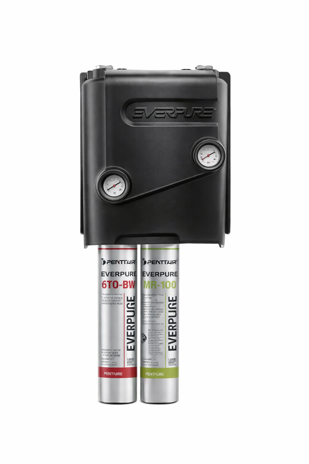 Système Pentair MRS Platemount 100 – Osmose inverse professionnel compact
