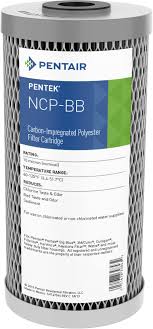 Filtre Pentair Pentek NCP BB 10 Pouces Big Blue