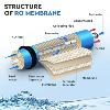 Lot de 2 Membranes d’Osmose Inverse AQUAPRO 400 GPD – Haute Performance