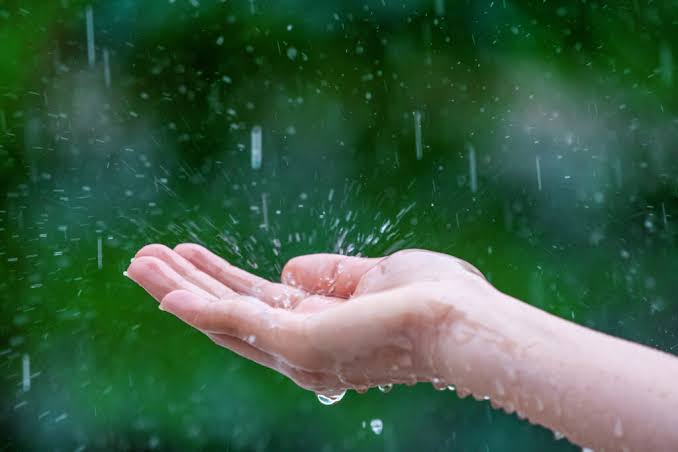 Eau de pluie