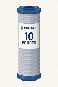 CARTOUCHE-PENTAIR-10-POUCES