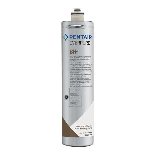 Cartouche Everpure BH2 Pentair EV9612-50 Filtration Eau Boisson
